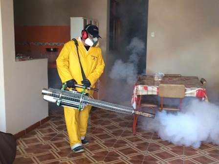 fumigacion contra el dengue piura