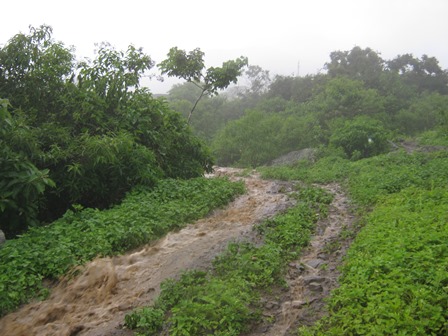 lluvias en ayabaca