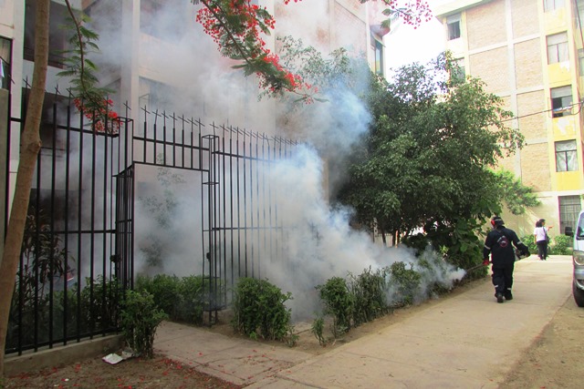 fumigacion contra dengue