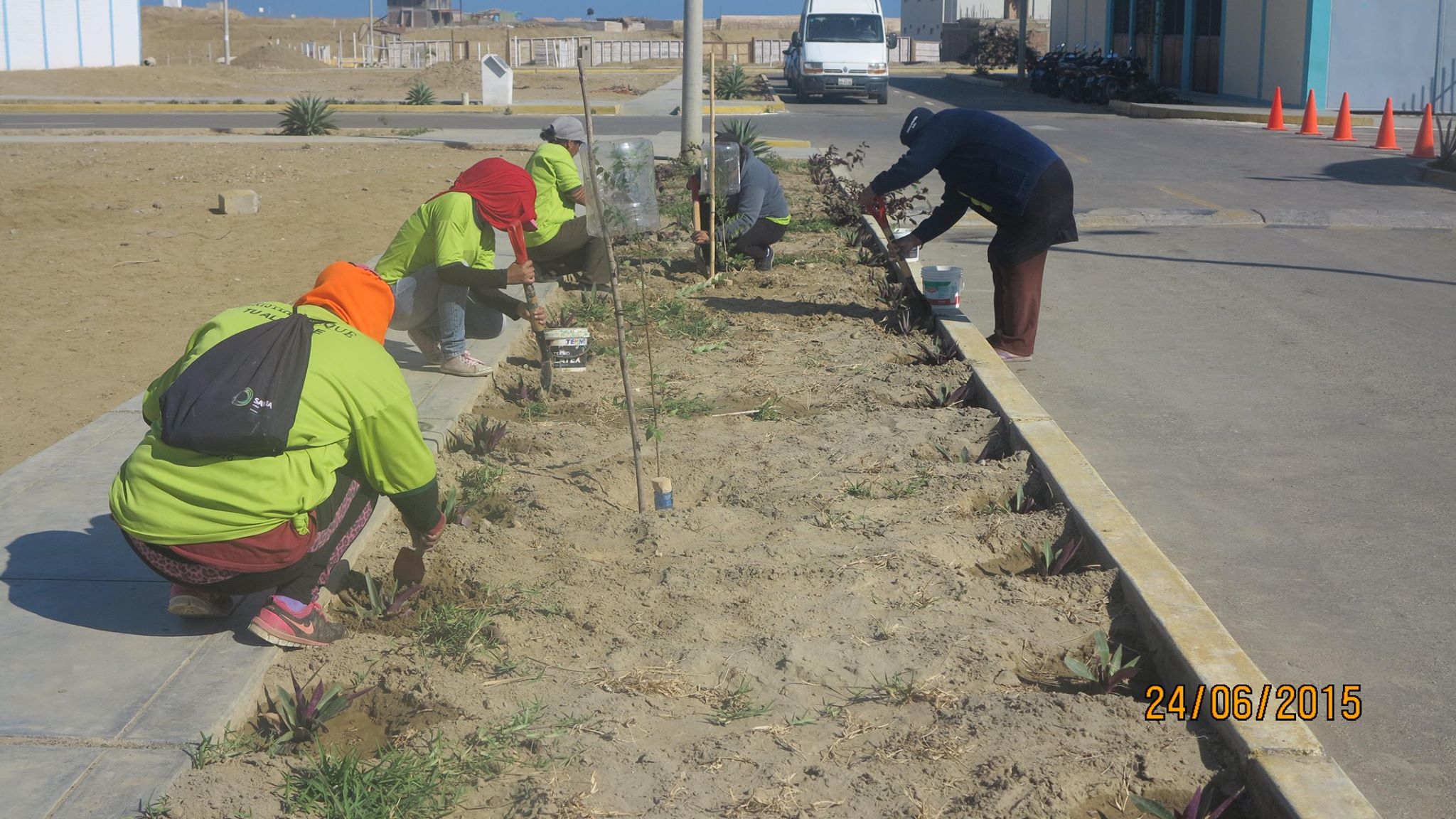 Gobierno Lobitos reforesta