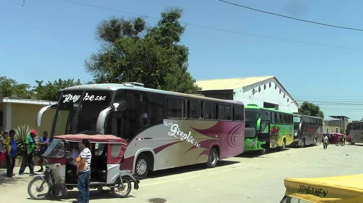 buses gechisa