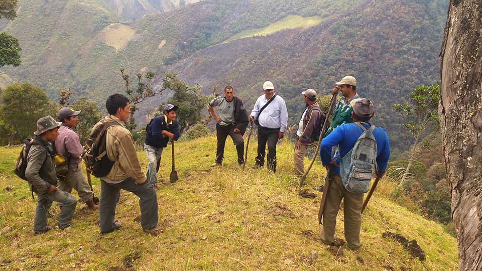 incendio forestal caserio quevedo huancabamba2