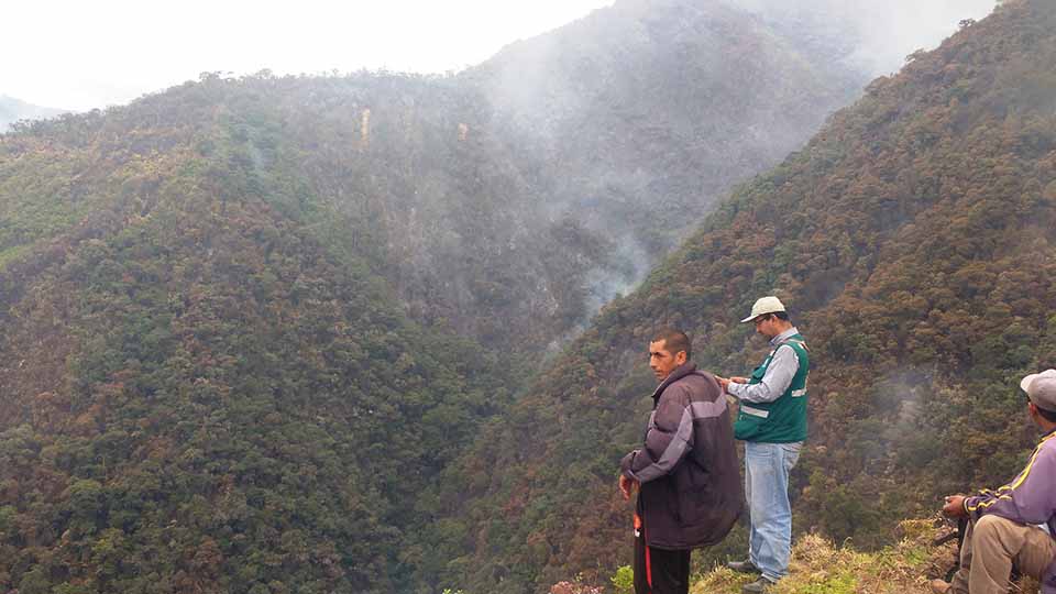 incendio forestal caserio quevedo huancabamba4