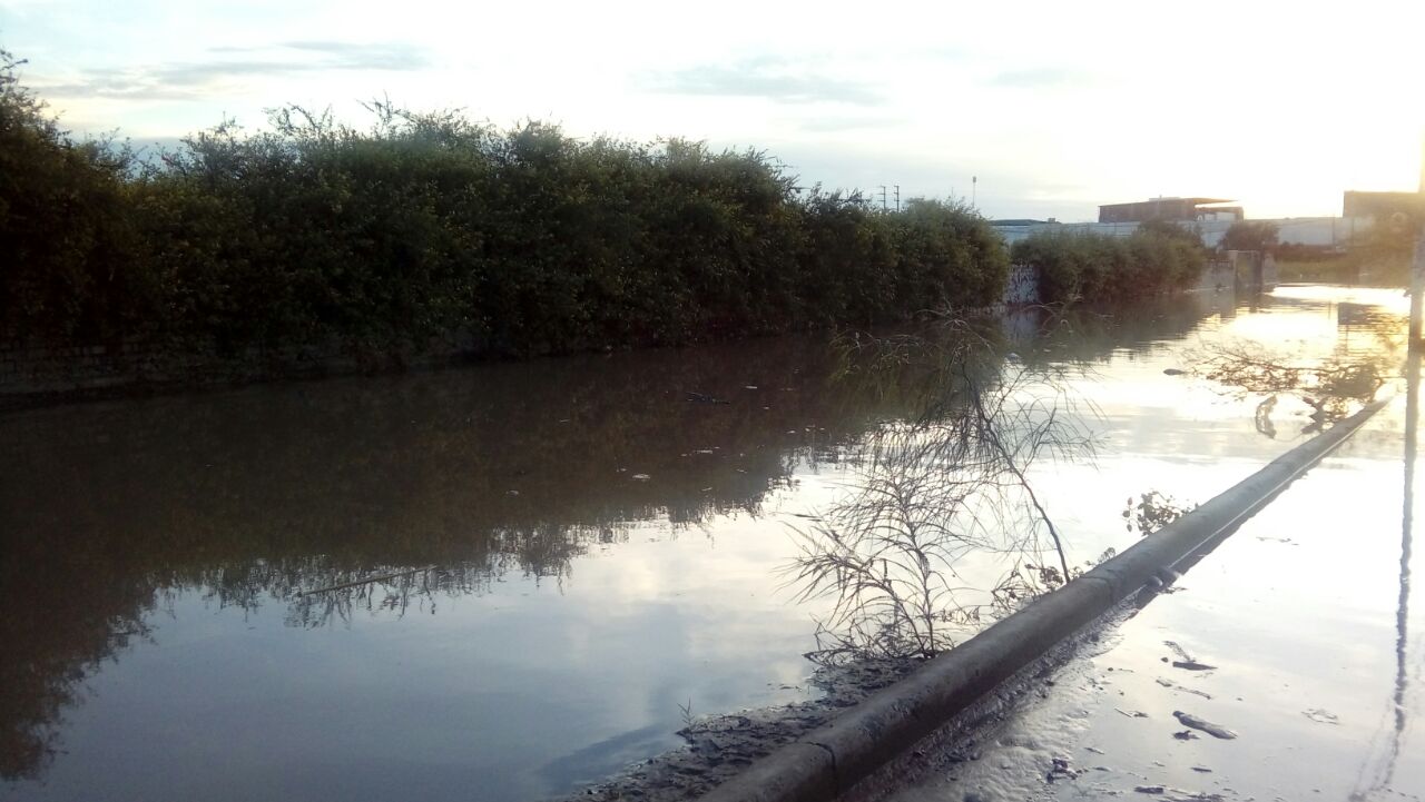 Ignacio Merino inundacion02