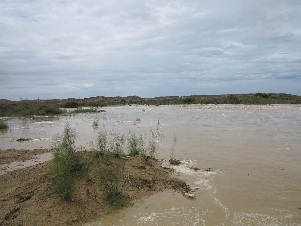 Lobitos Quebrada