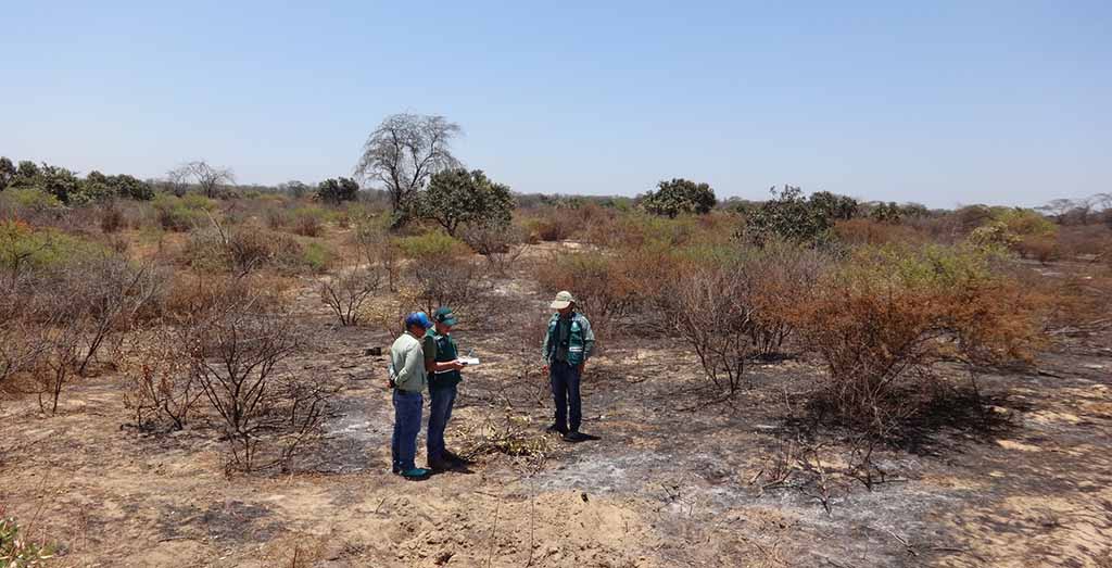 incendio forestal chulucanas otra1