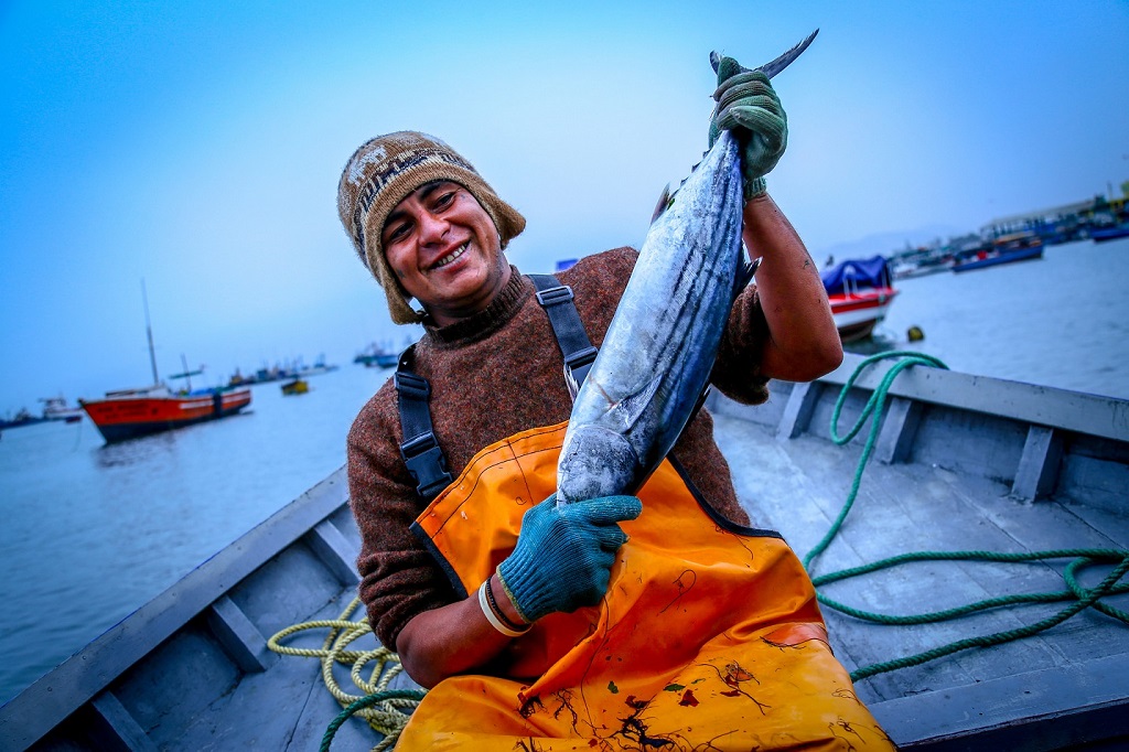 Pescador Peruano
