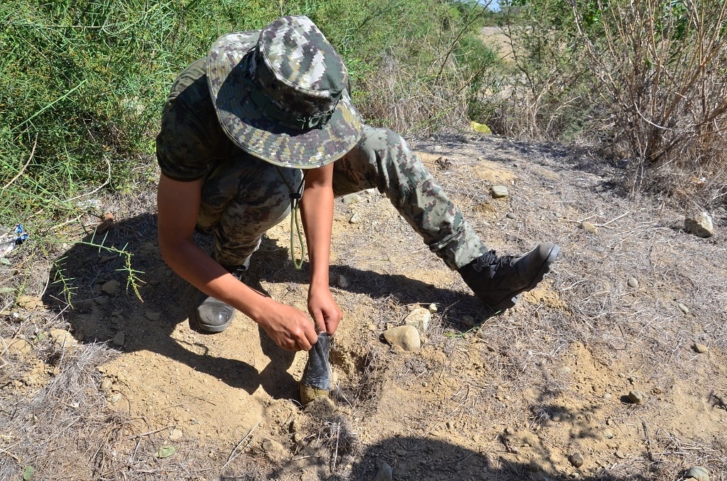 Reforestacion Locuto en Tambogrande