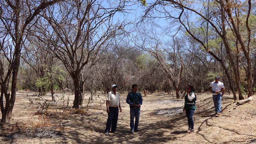 comunidades campesinas piura 1