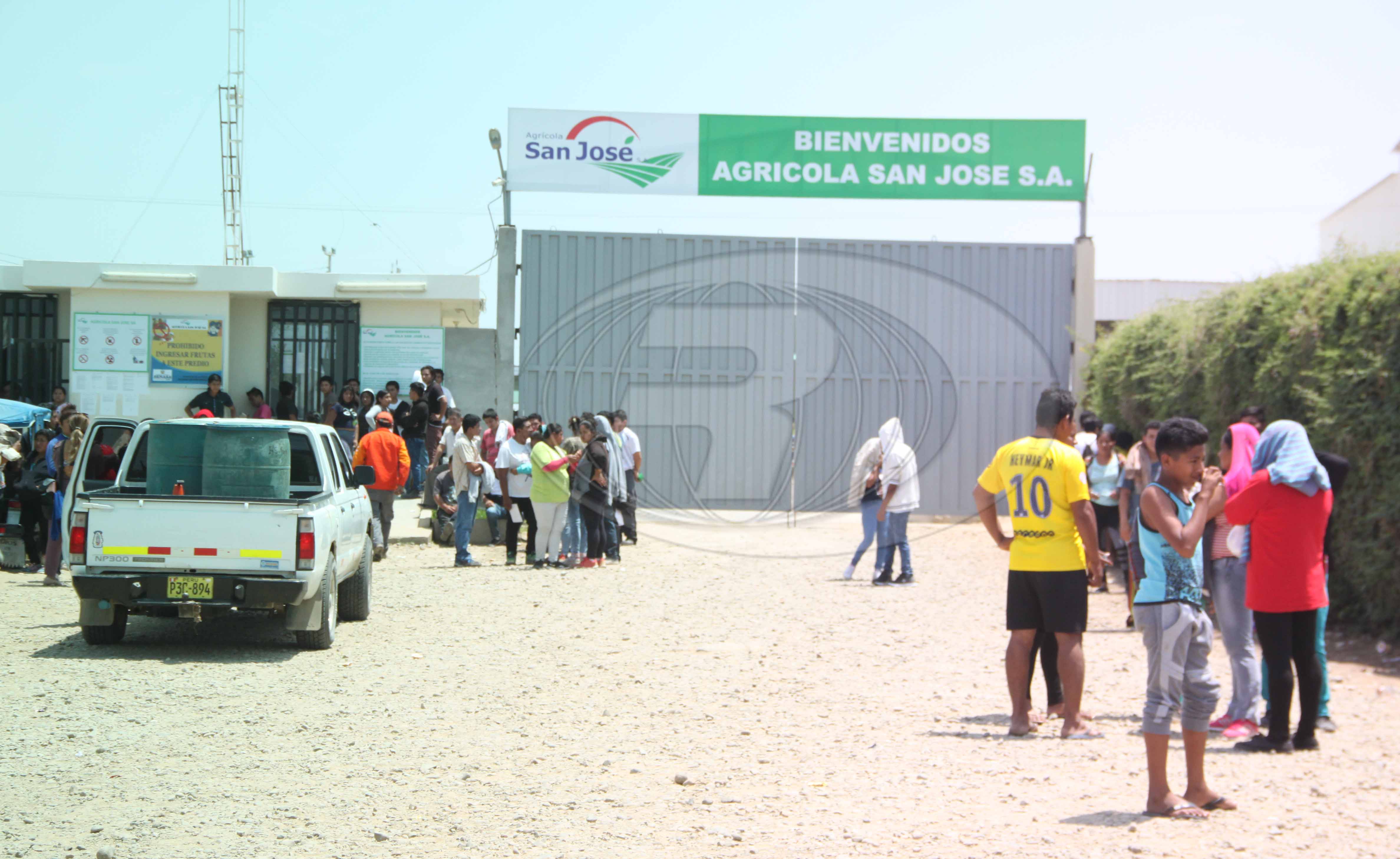 agricola san jose
