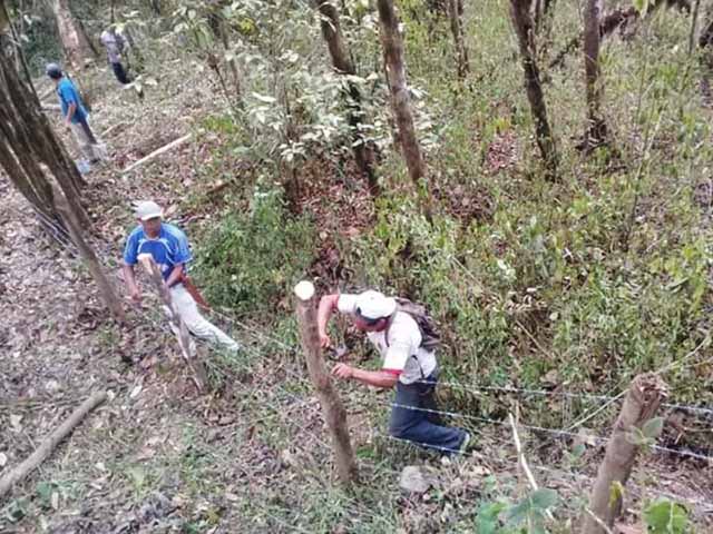 bosque pena blanca canchaque 2