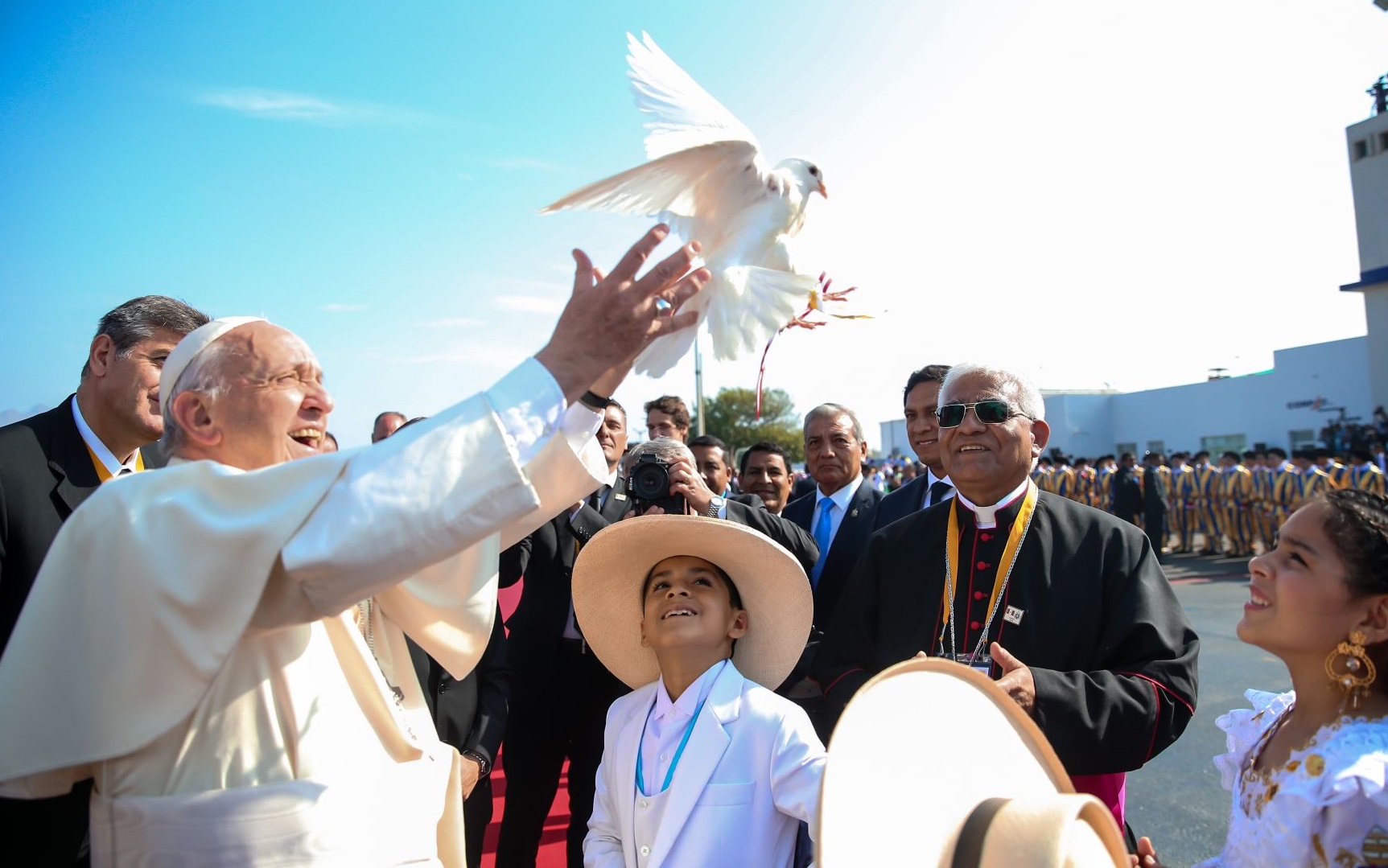 Papa Francisco Paloma
