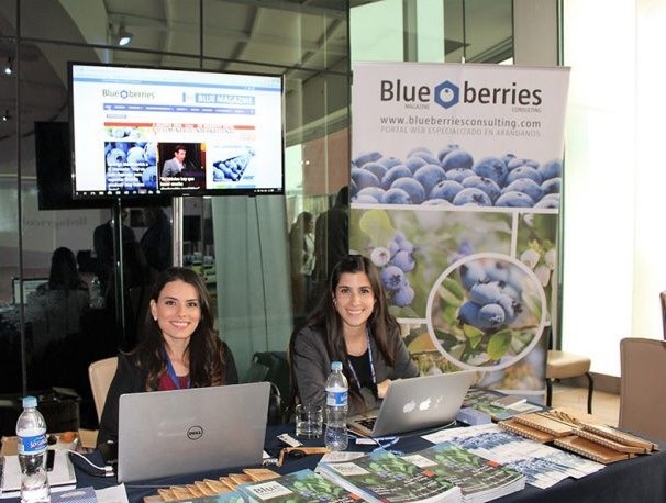 Blueberries01