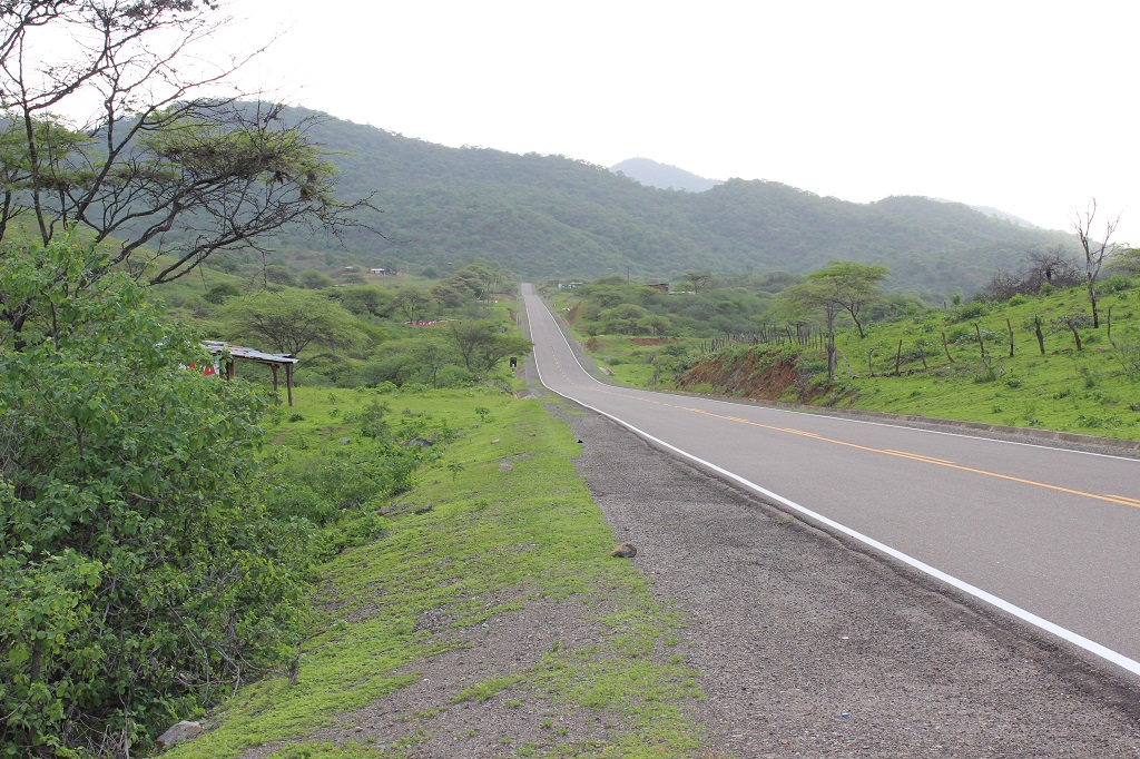 Bosque seco en el norte peruano