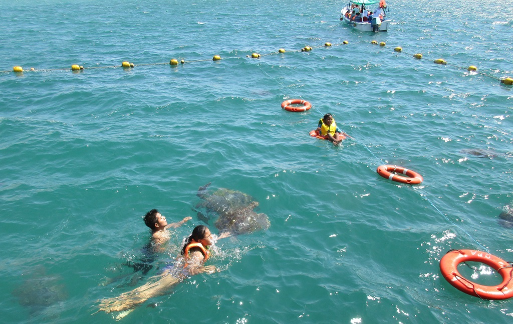 Turismo Piura Tortugas Verdes