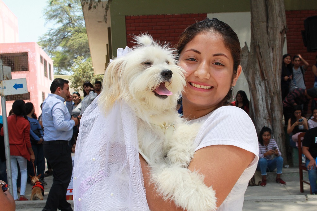 Modelaje de mascotas se realizó en Piura