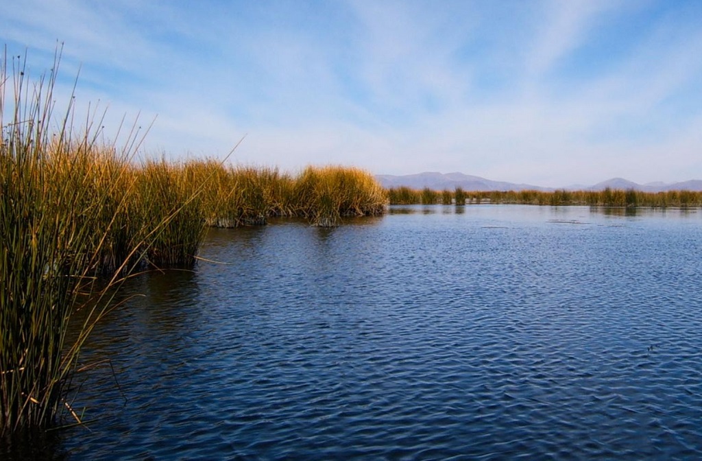 Investigación de humedales del país se realizará en pantanos de Villa, Manglares de Tumbes y Lago Titicaca