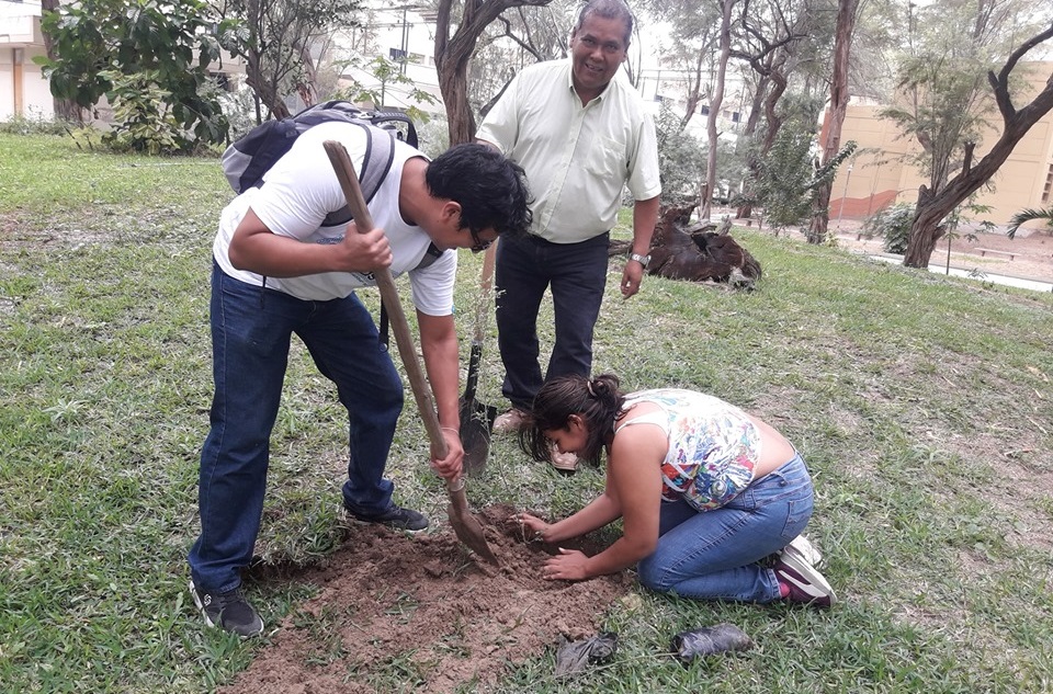 Siembra de plantones en Universidad Nacional de Piura