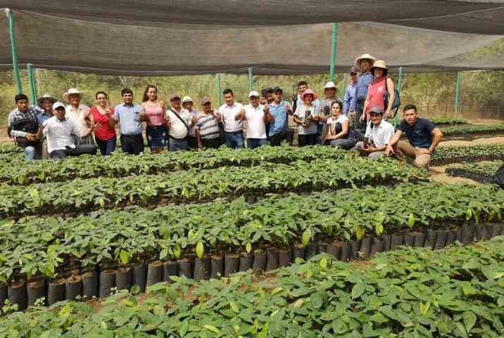 Entregan plantones para reforestación 