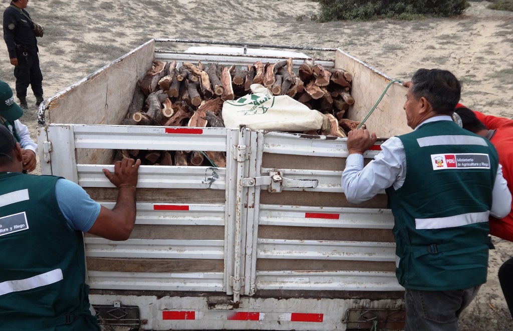 Decomiso de tala ilegal en provincia de Sechura