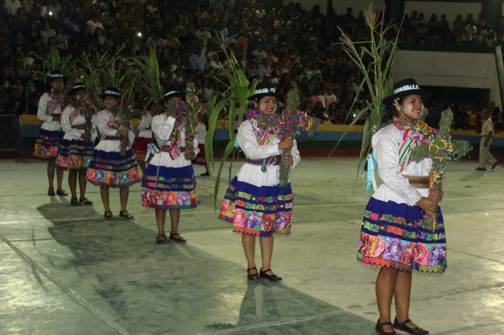 Carnaval Huancavelica 03