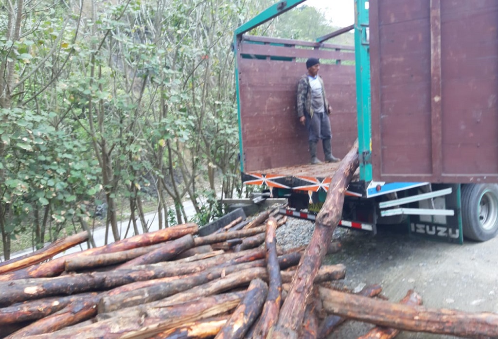 Ministerio Público realizó tres operativos contra la tala ilegal en región Cusco