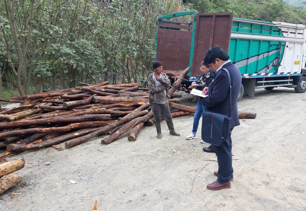Ministerio Público realizó tres operativos contra la tala ilegal en región Cusco