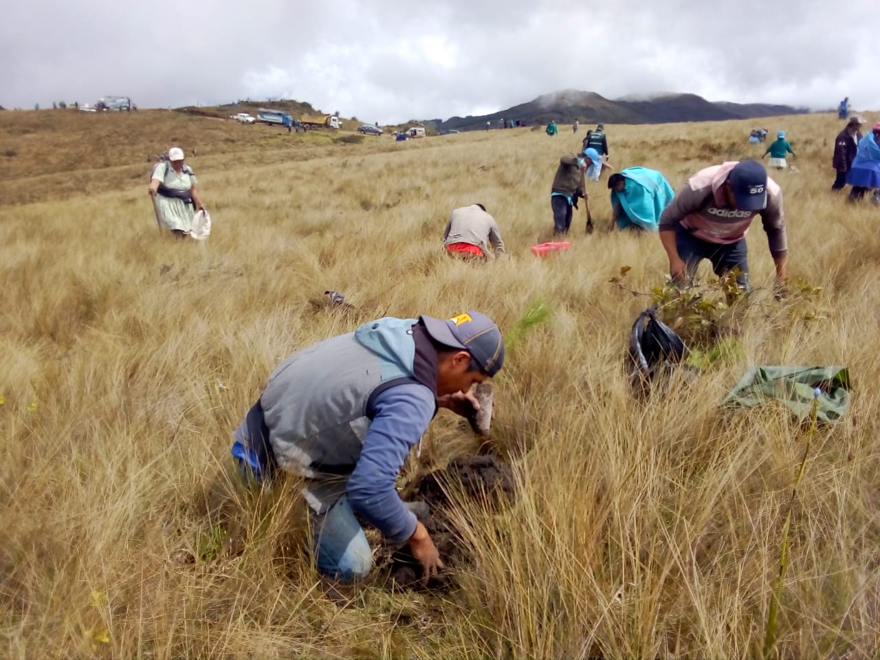 Reforestación en la sierra piurana de Huacabamba