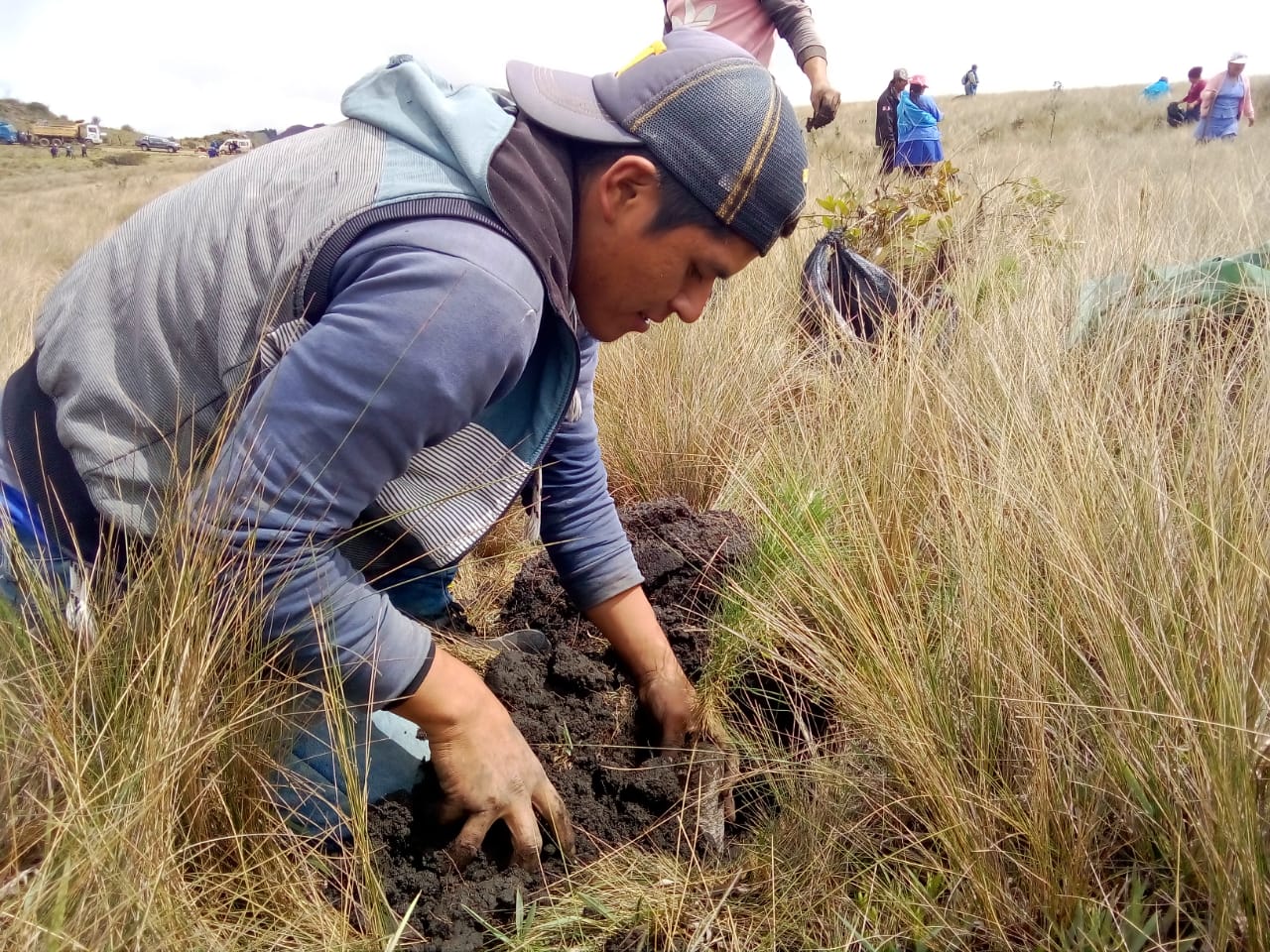 Reforestación en la sierra piurana de Huacabamba