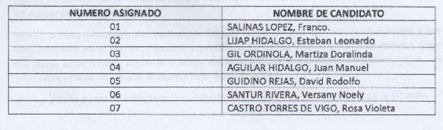 Candidatos Piura AP