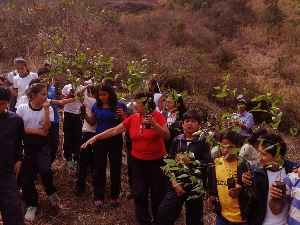 Impulsan campaña de reforestación en San Miguel del Faique