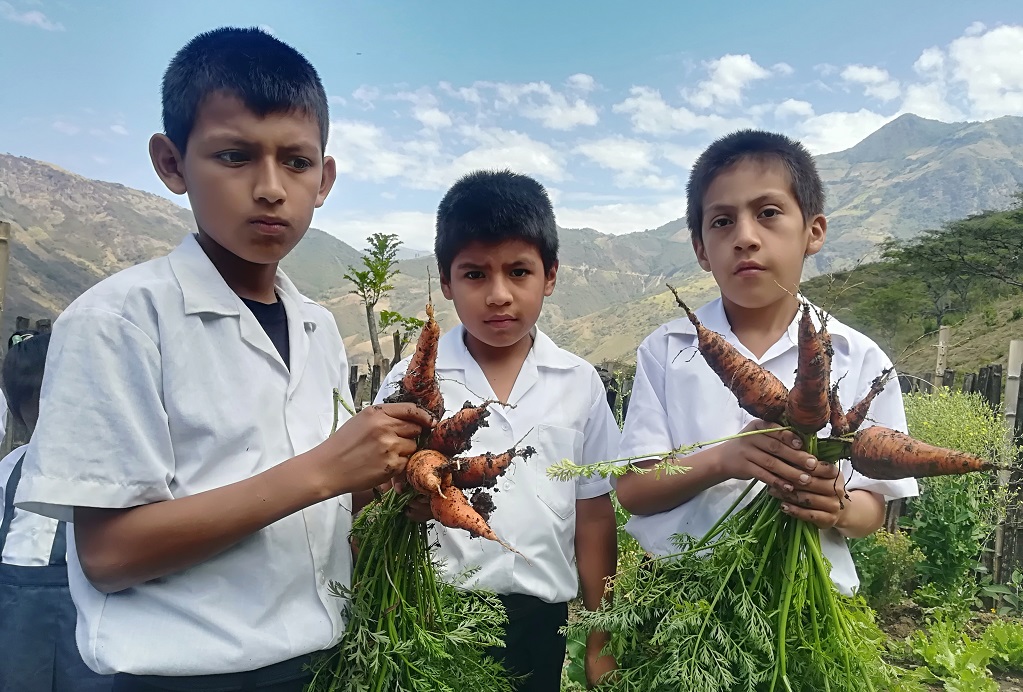 Con cultivo de huertos complementan alimentos en centro poblado Las Mishcas