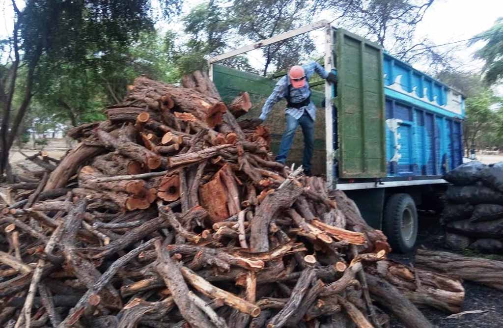 intervienen camion madera