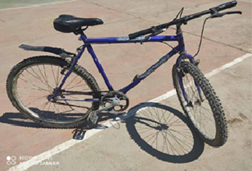 bicicleta de catalino