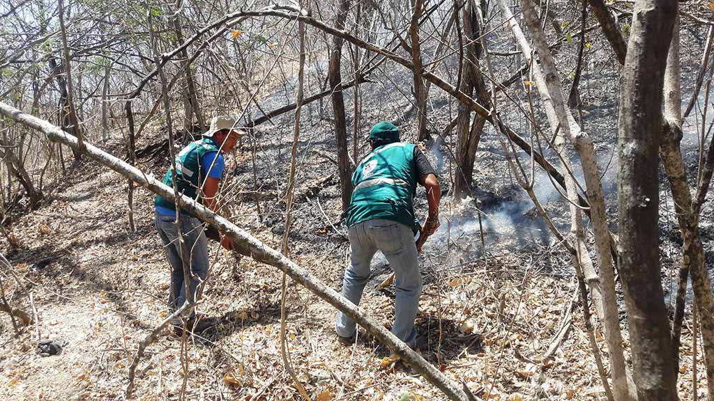 incendio forestal ayabaca 1