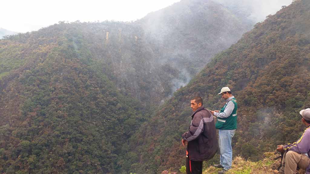 incendio forestal ayabaca 2