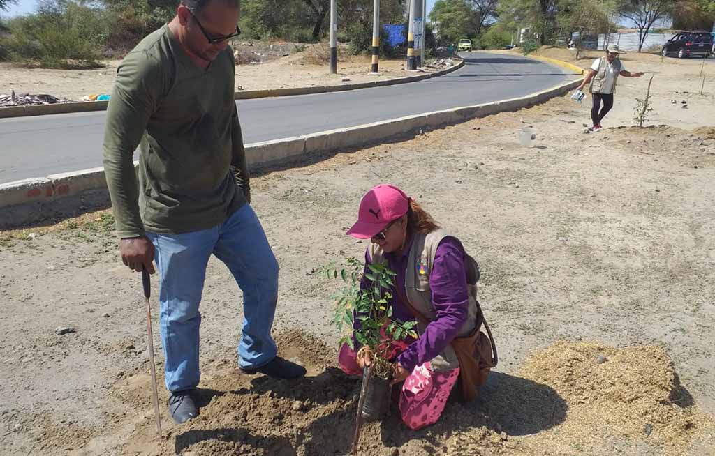 reforestacion 2020 en Castilla 1