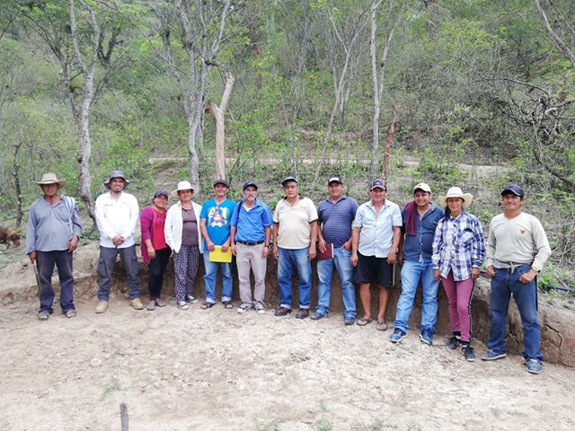 Promueven cultivo de fruta pitahaya en la sierra del departamento de Piura