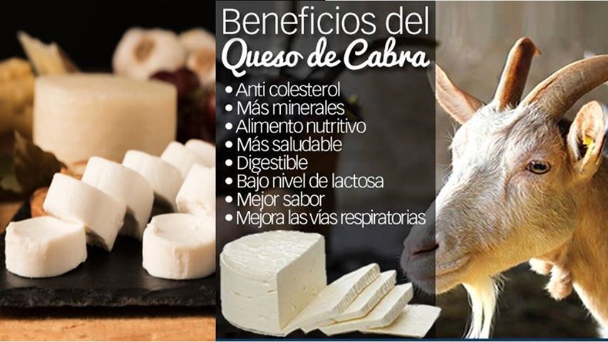 Beneficio lacteos cabra 1