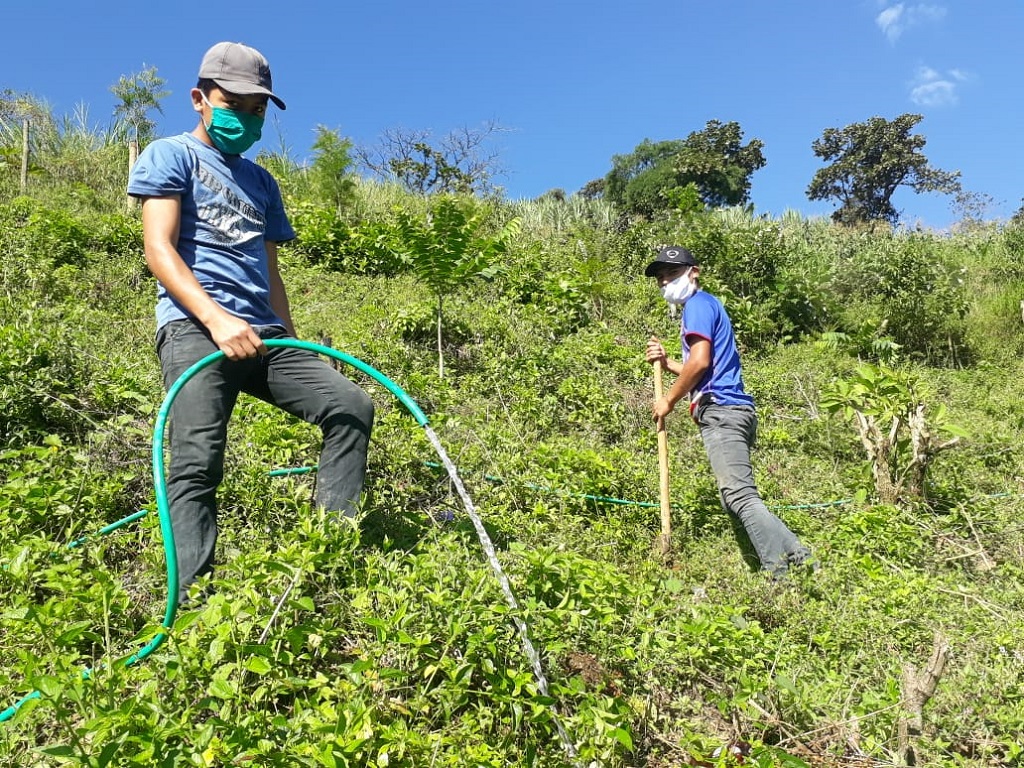 Continúan trabajos de reforestación en distritos de la cuenca Catamayo Chira