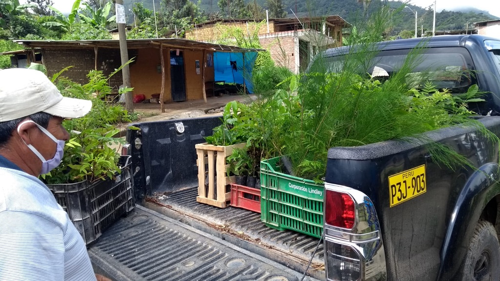 Continúan trabajos de reforestación en distritos de la cuenca Catamayo Chira