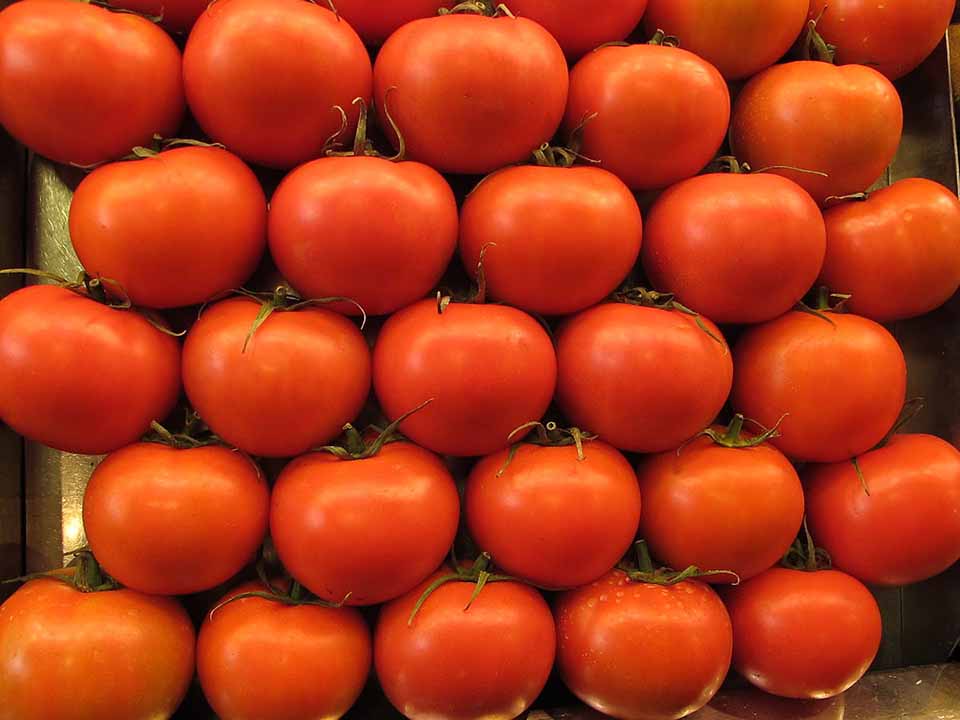 quinto sabor umami tomate
