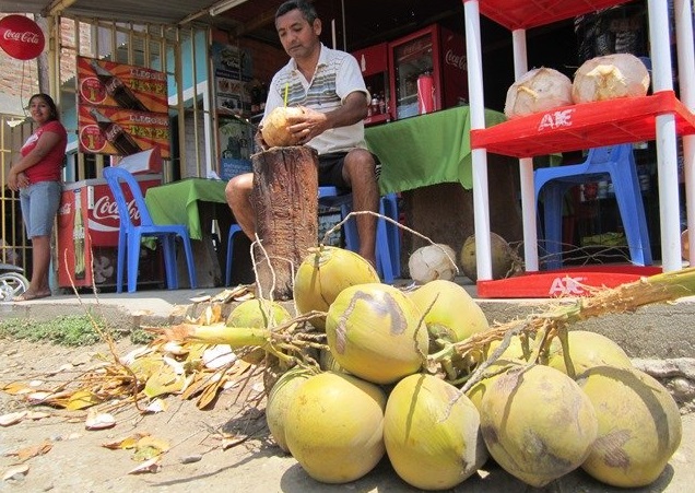 Se realizará Feria del Coco por 68° Aniversario de Marcavelica