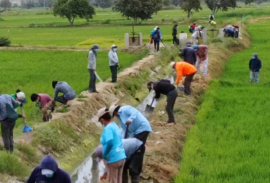 Campo de cultivo Sechura 2