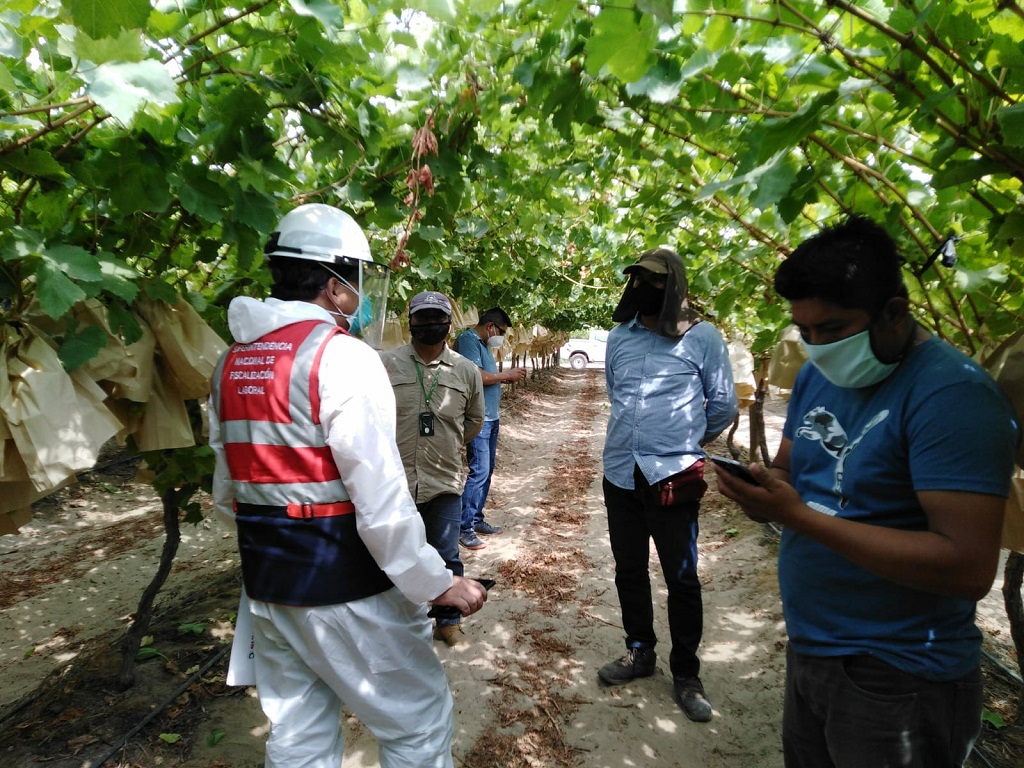 Sunafil inspeccion Piura