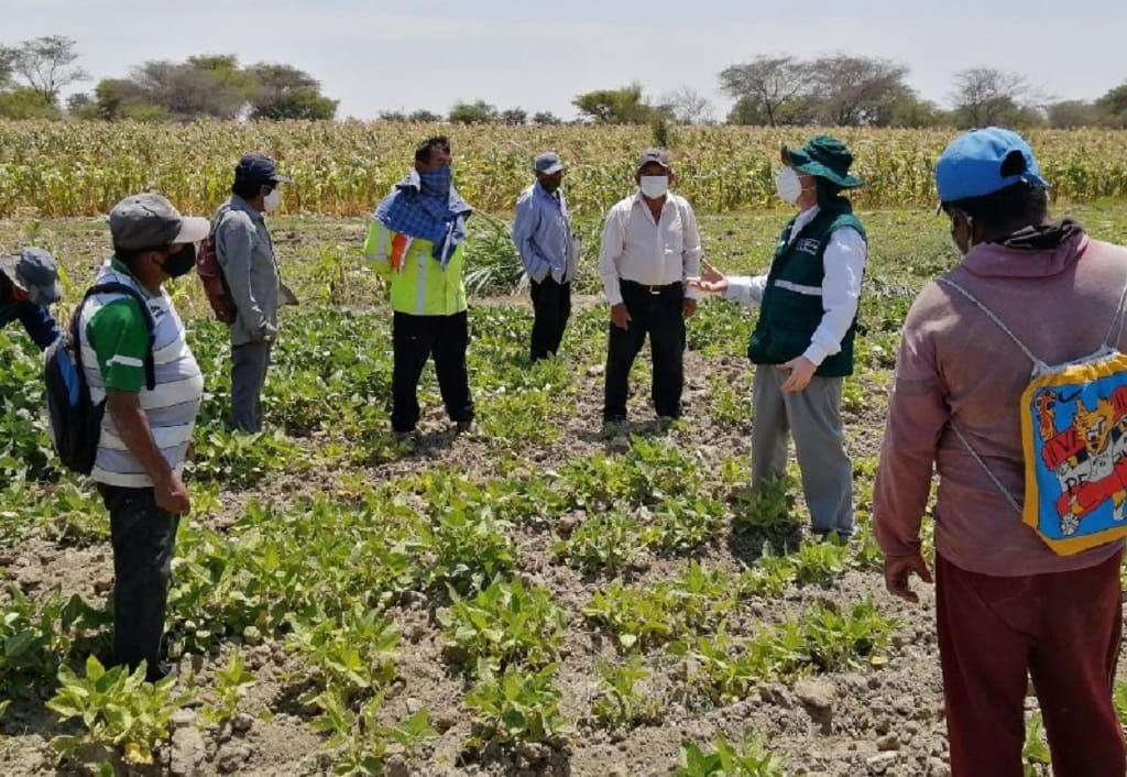 Agricultores pan llevar 1