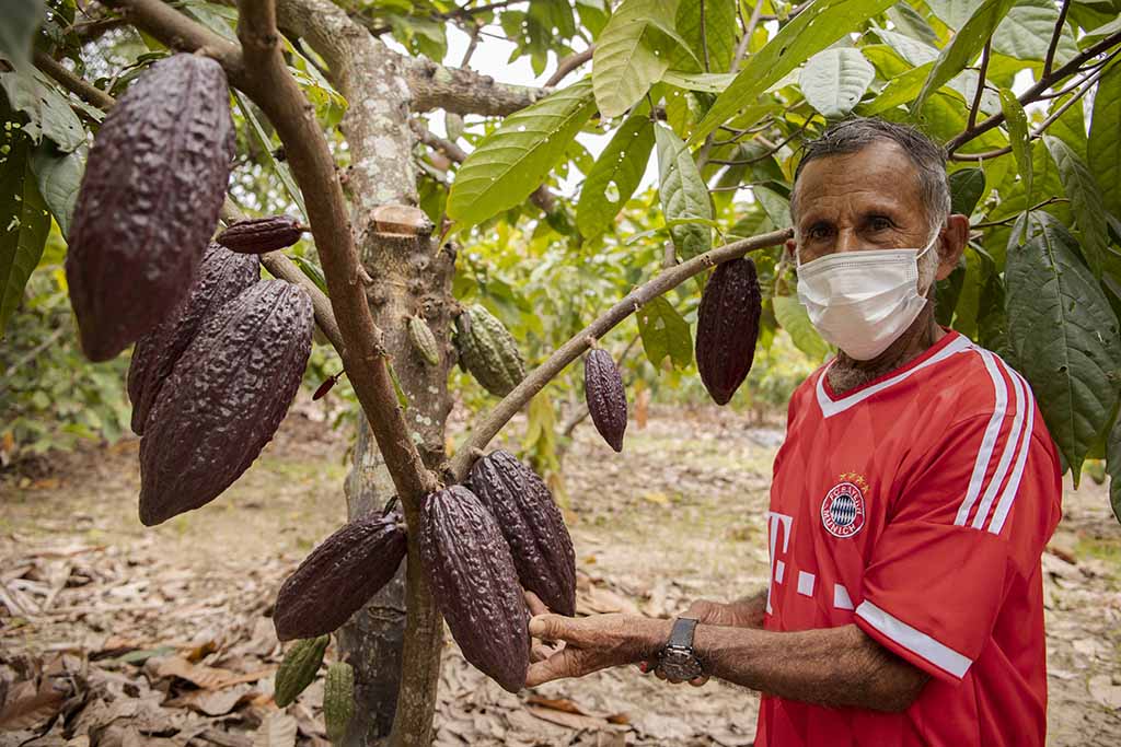 Cacao Agroideas