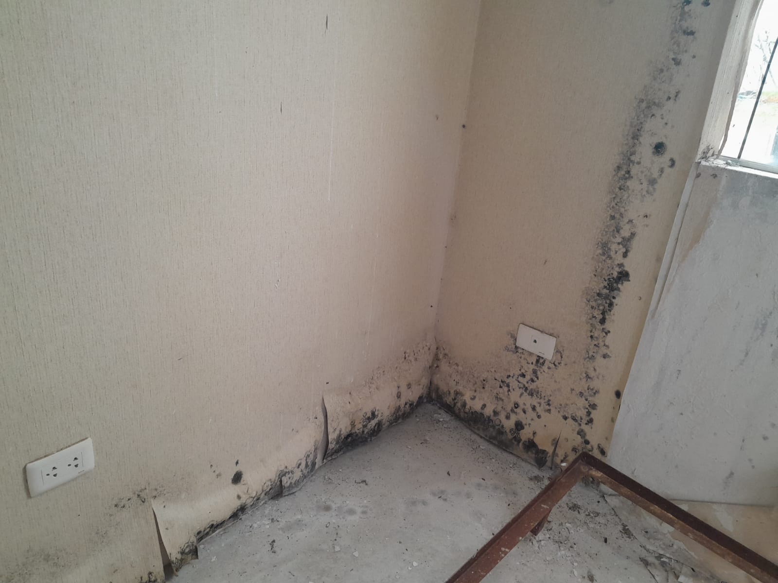 casas presentan problemas 2