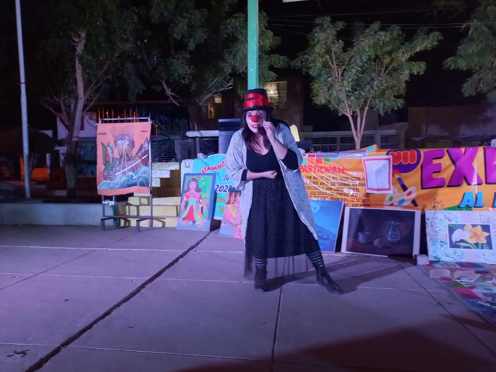 Promocion artistica 03