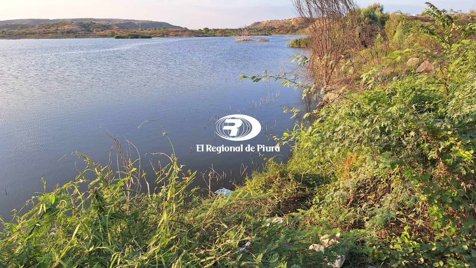 Laguna de los Patos 1